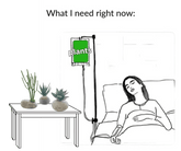 Artisan Succulent Wall Garden - PLANT THIS