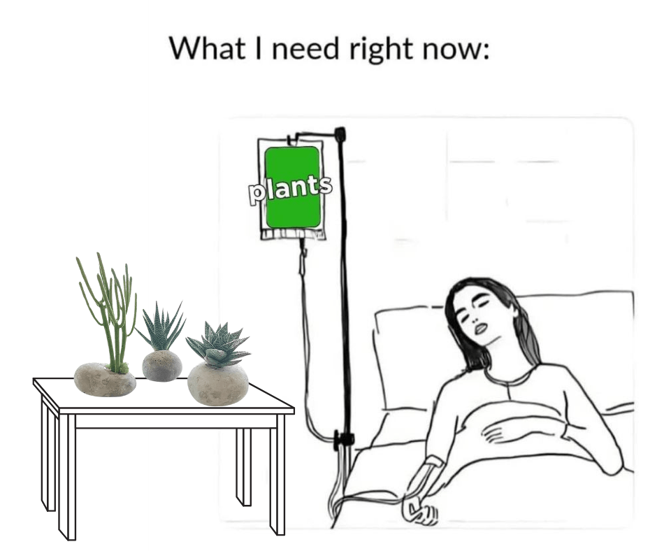 Artisan Succulent Wall Garden - PLANT THIS