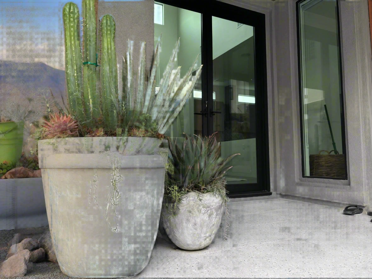 Bespoke Artisan Planters - I AM TIMELESS - PLANT THIS