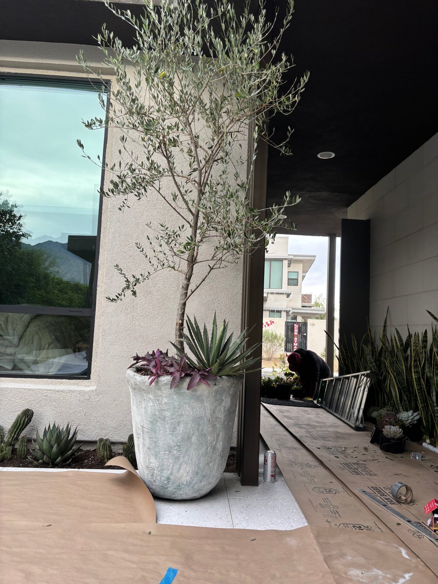 Bespoke Artisan Planters - I AM TIMELESS - PLANT THIS