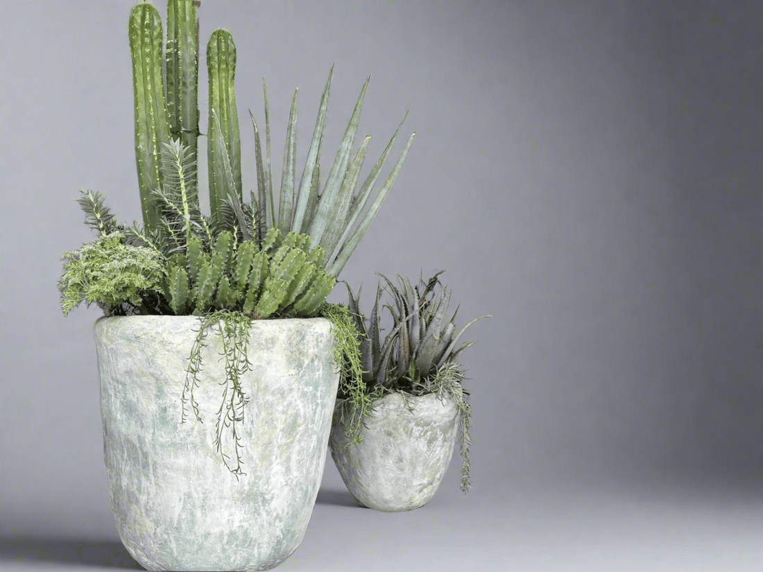 Brutalist XL Concrete Planter - PLANT THIS
