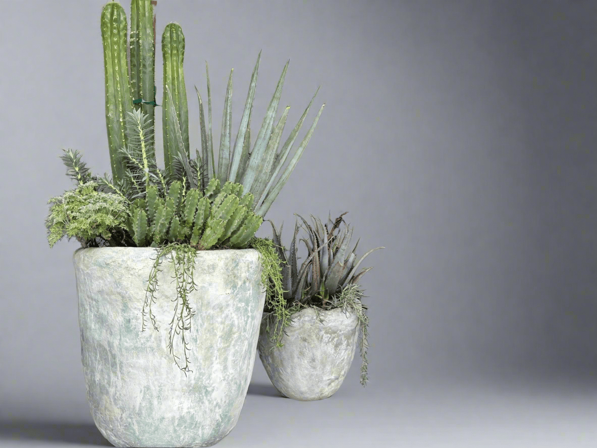 Brutalist XL Concrete Planter - PLANT THIS