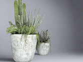 Brutalist XL Concrete Planter - PLANT THIS