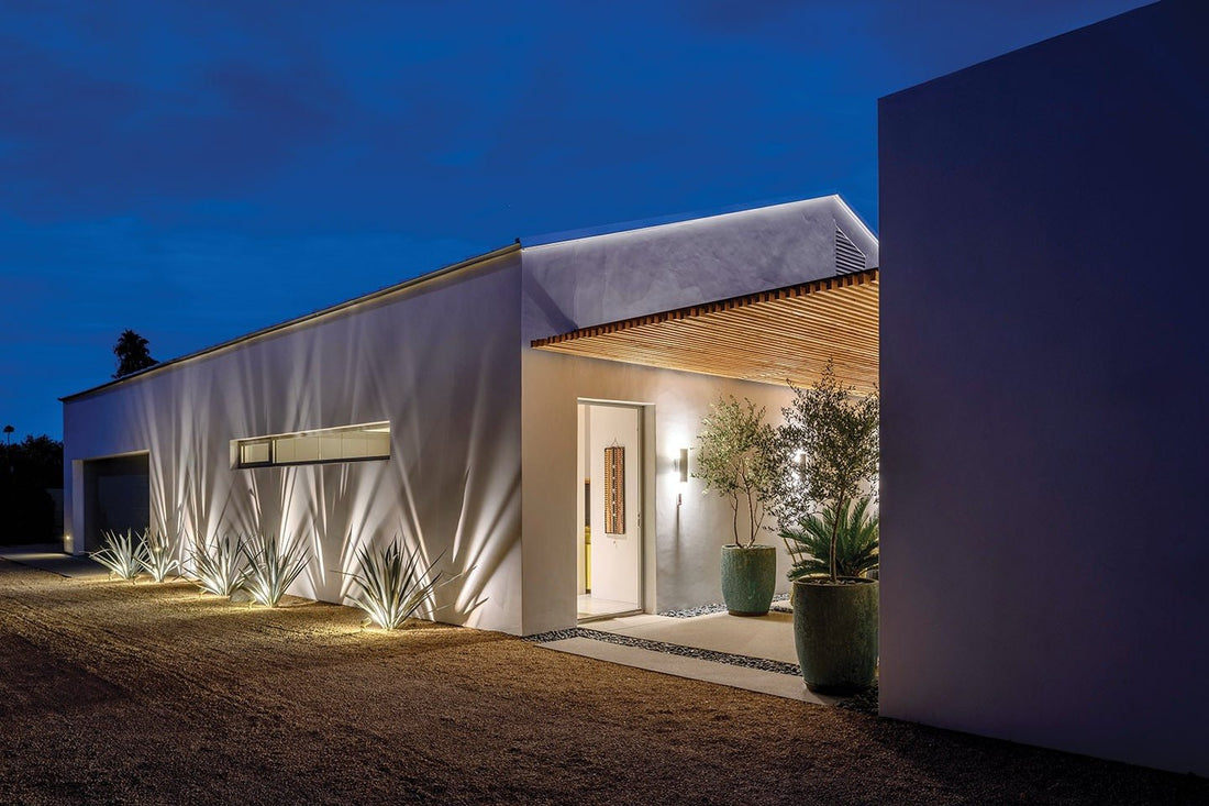 Custom Plant Design Plan / Home or Office Visit with Jonathan - PLANT THIS