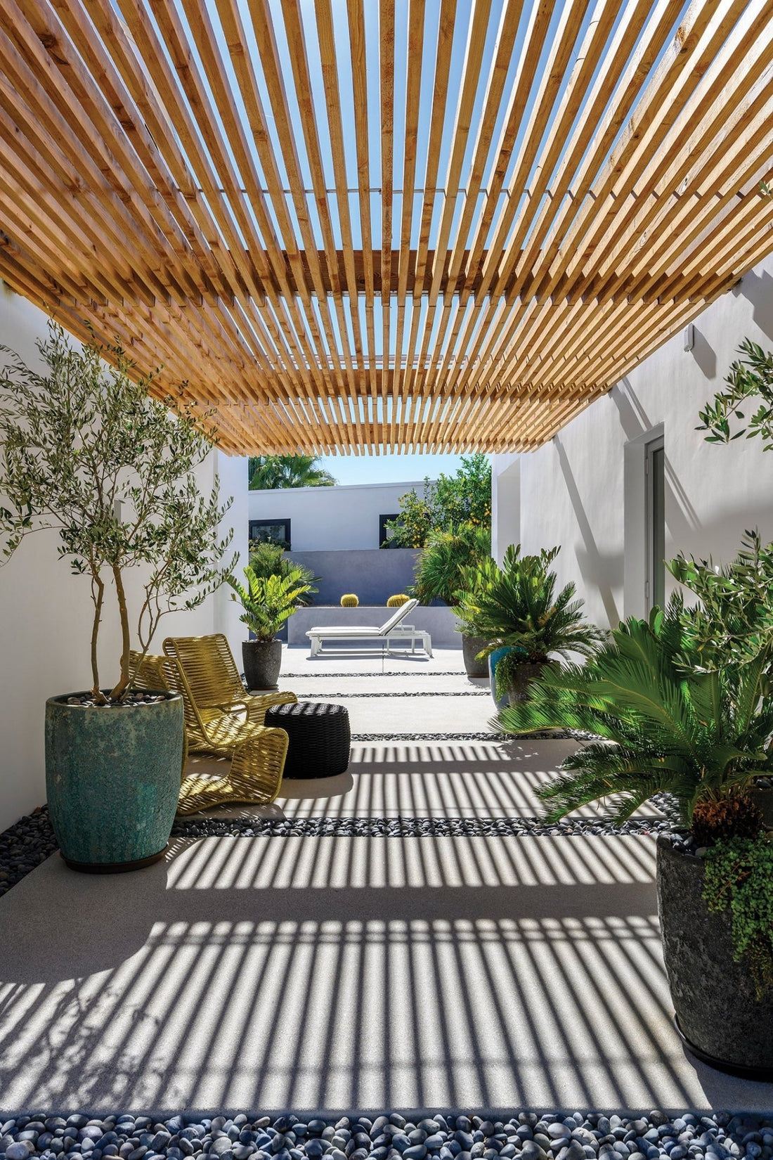 Custom Plant Design Plan / Home or Office Visit with Jonathan - PLANT THIS