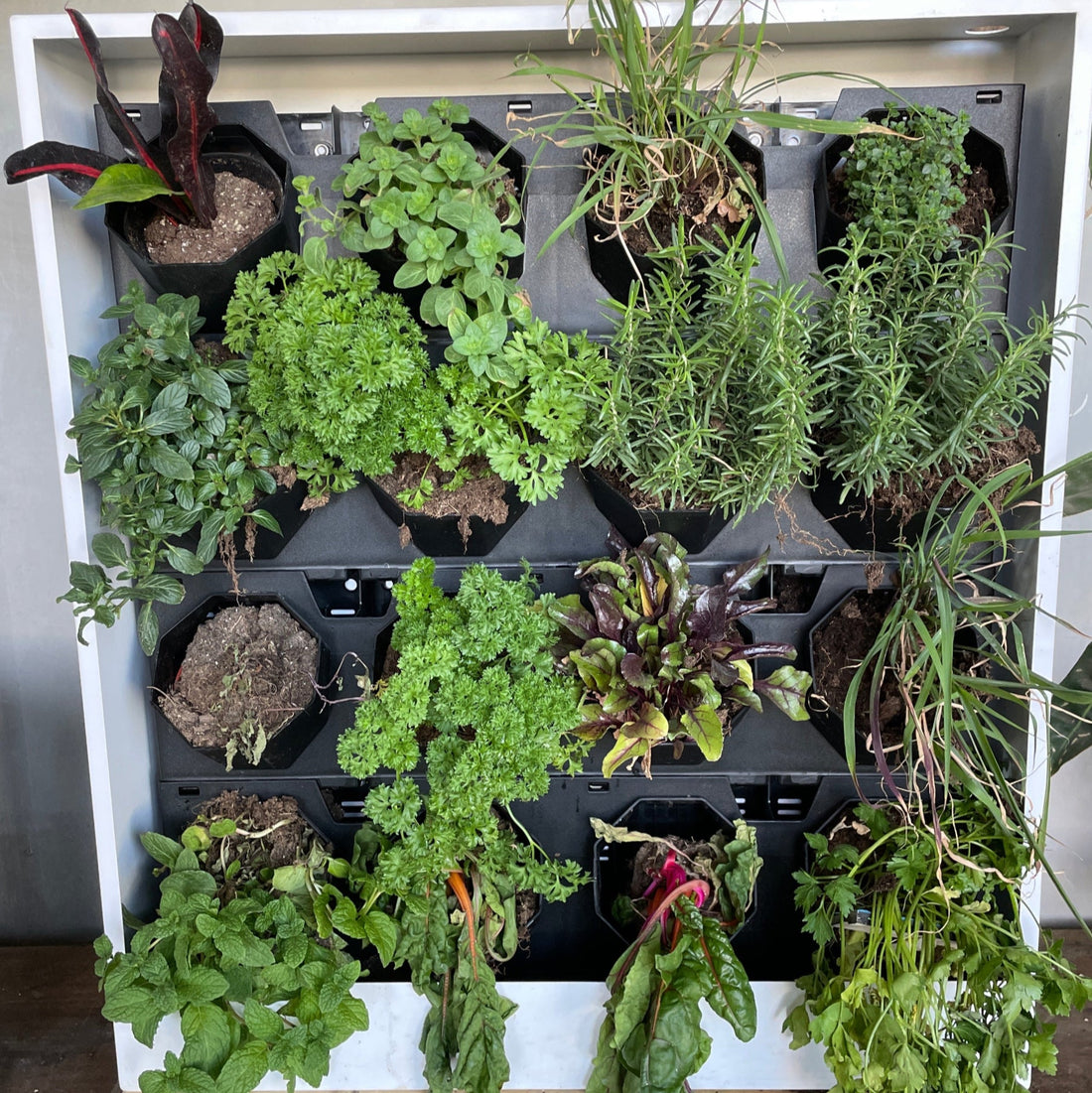 Fresh Stack Vertical Herb Garden | I AM ABUNDANT - PLANT THIS