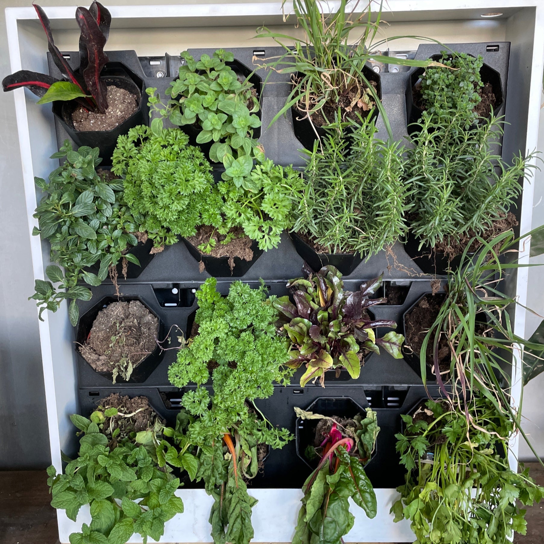 Fresh Stack Vertical Herb Garden | I AM ABUNDANT - PLANT THIS