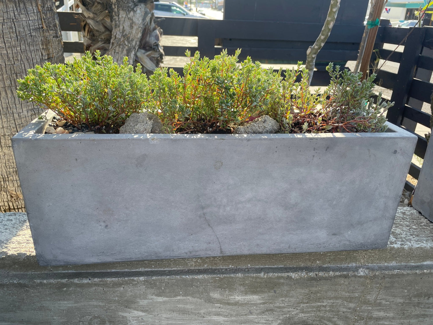 Long Concrete Planter Box - PLANT THIS