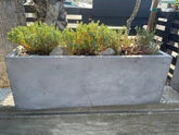 Long Concrete Planter Box - PLANT THIS
