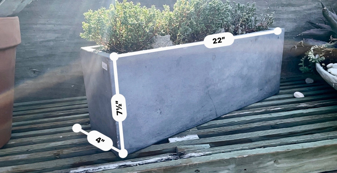 Long Concrete Planter Box - PLANT THIS