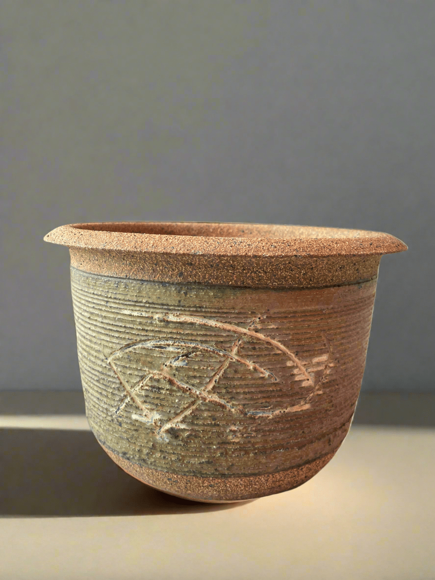 Plumeria Tree - PLANT THIS