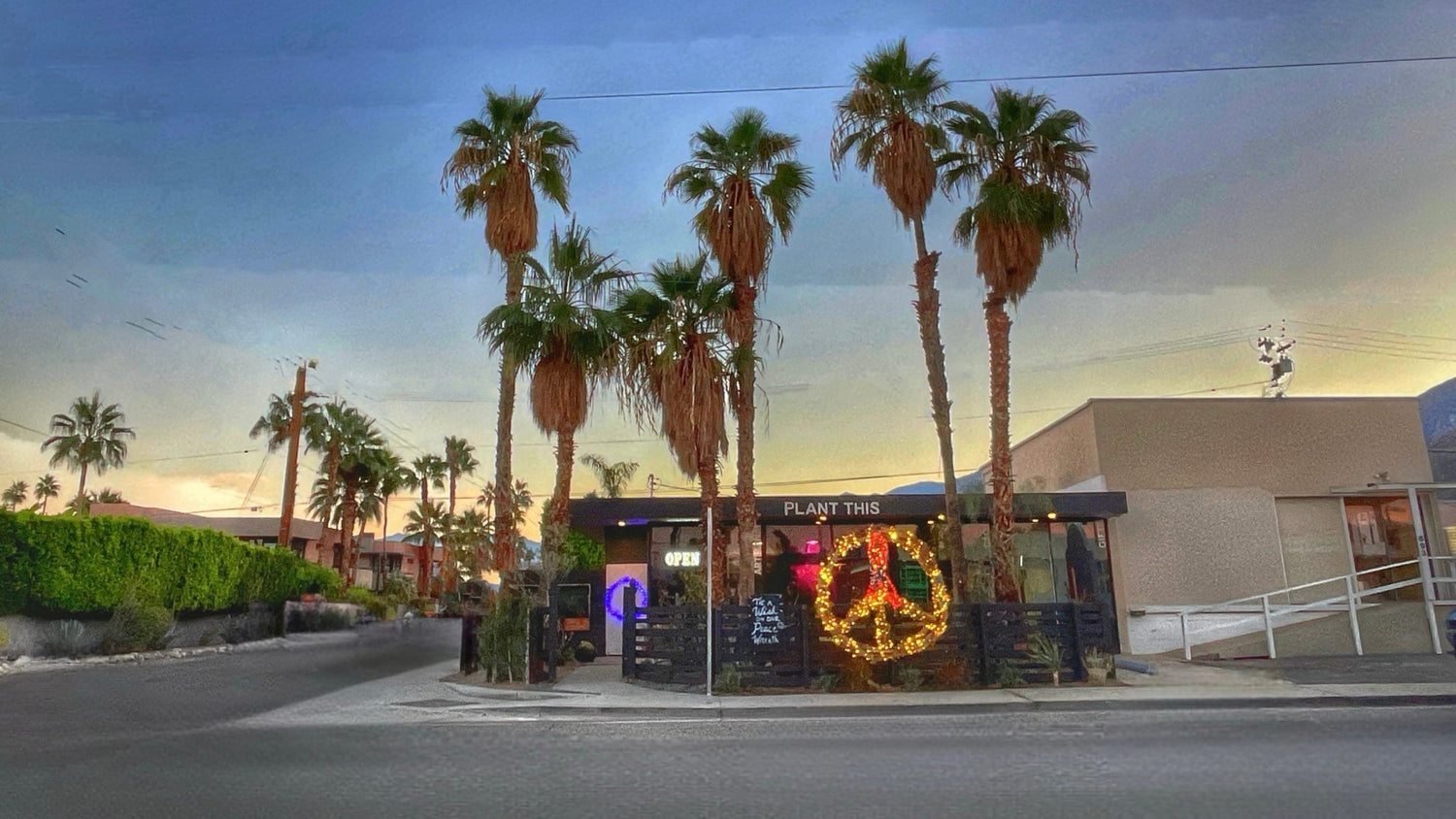 A Reflection on World AIDS Day: "The Light Stays" - PLANT THIS