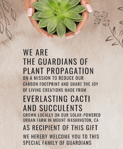 The Real Reason We’re Here - PLANT THIS