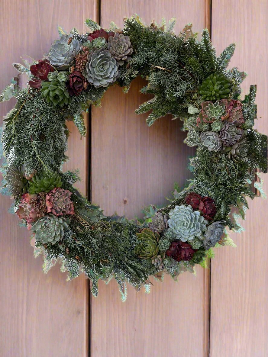 I Am Timeless Beauty - 30-Inch Fresh Succulent Holiday Wreath