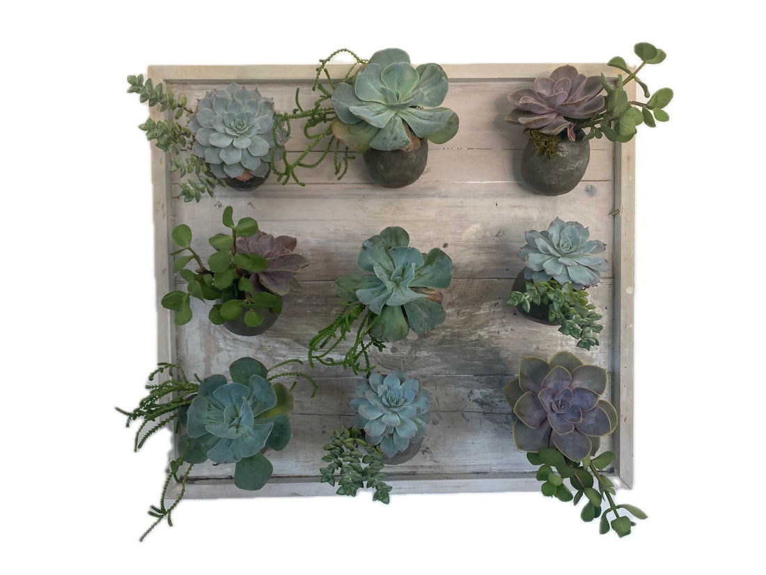 Artisan Handmade Succulent Wall Garden - PLANT THIS