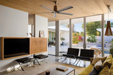 Custom Plant Design Plan / Home or Office Visit with Jonathan - PLANT THIS