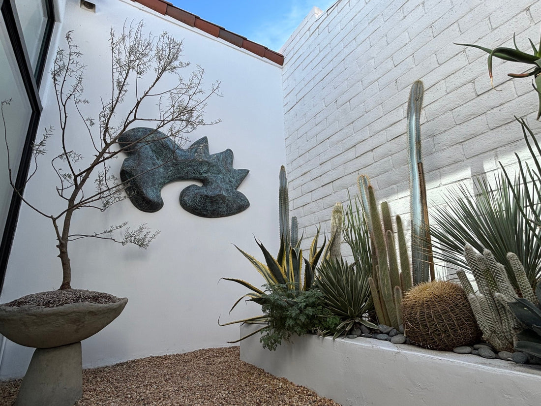 Custom Plant Design Plan + Xeriscape Packages (Onsite) - PLANT THIS