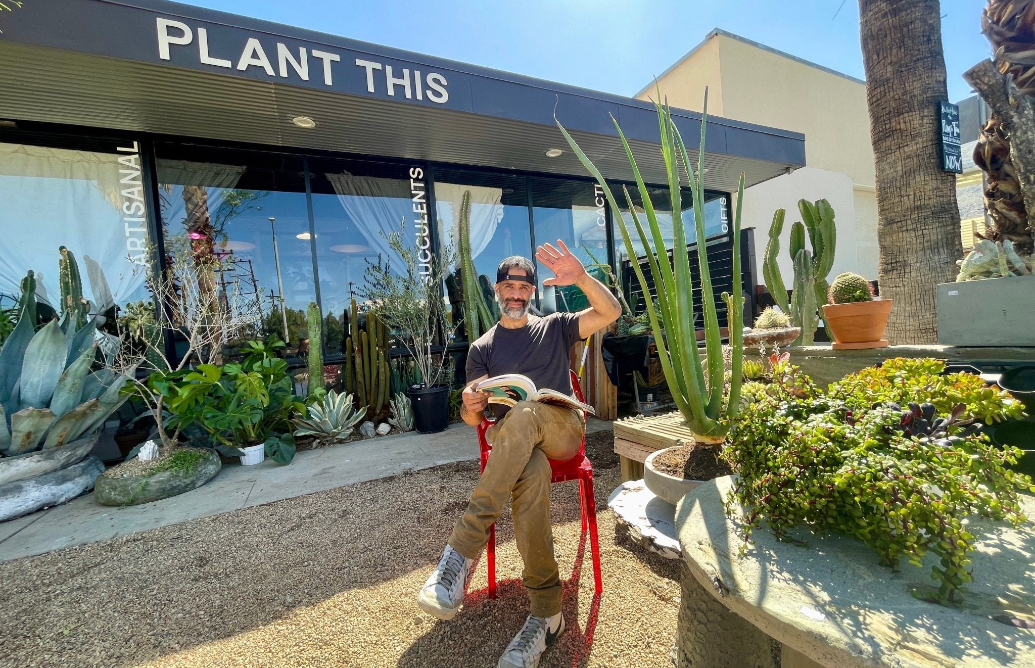 Custom Plant Design Services - PLANT THIS