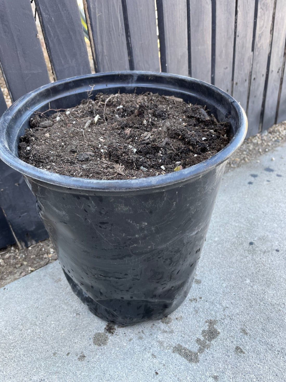 Desert - Ready Potting Mix ⟁ 5 Gallon Bucket - PLANT THIS