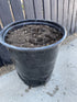 Desert - Ready Potting Mix ⟁ 5 Gallon Bucket - PLANT THIS