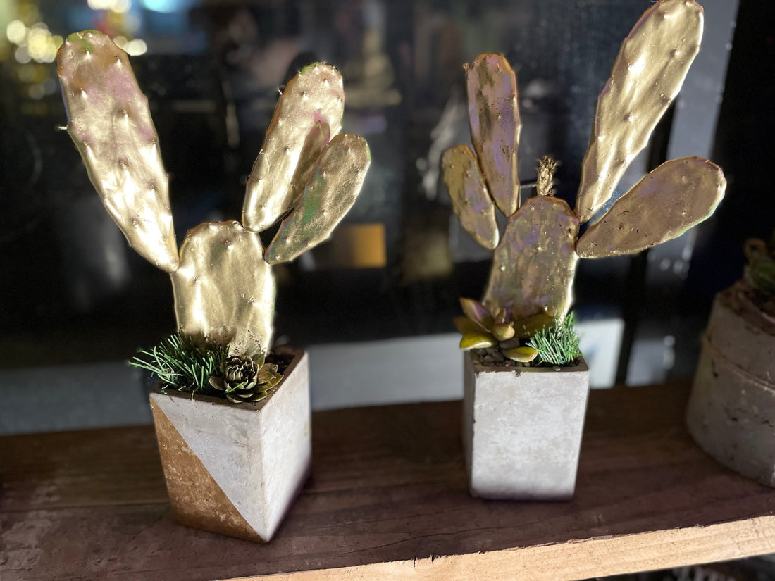 Gilded Opuntia Cactus — Modern Desert Luxe - PLANT THIS