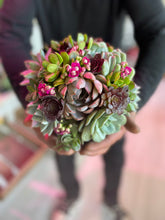 Honor the Fallen with Enduring Beauty: The Memorial Day Succulent Bouquet - PLANT THIS