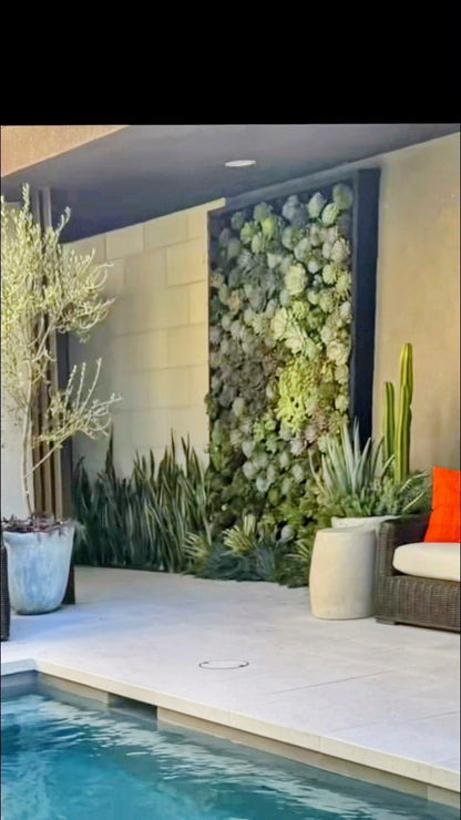 Plant Styling + Design Service - PLANT THIS