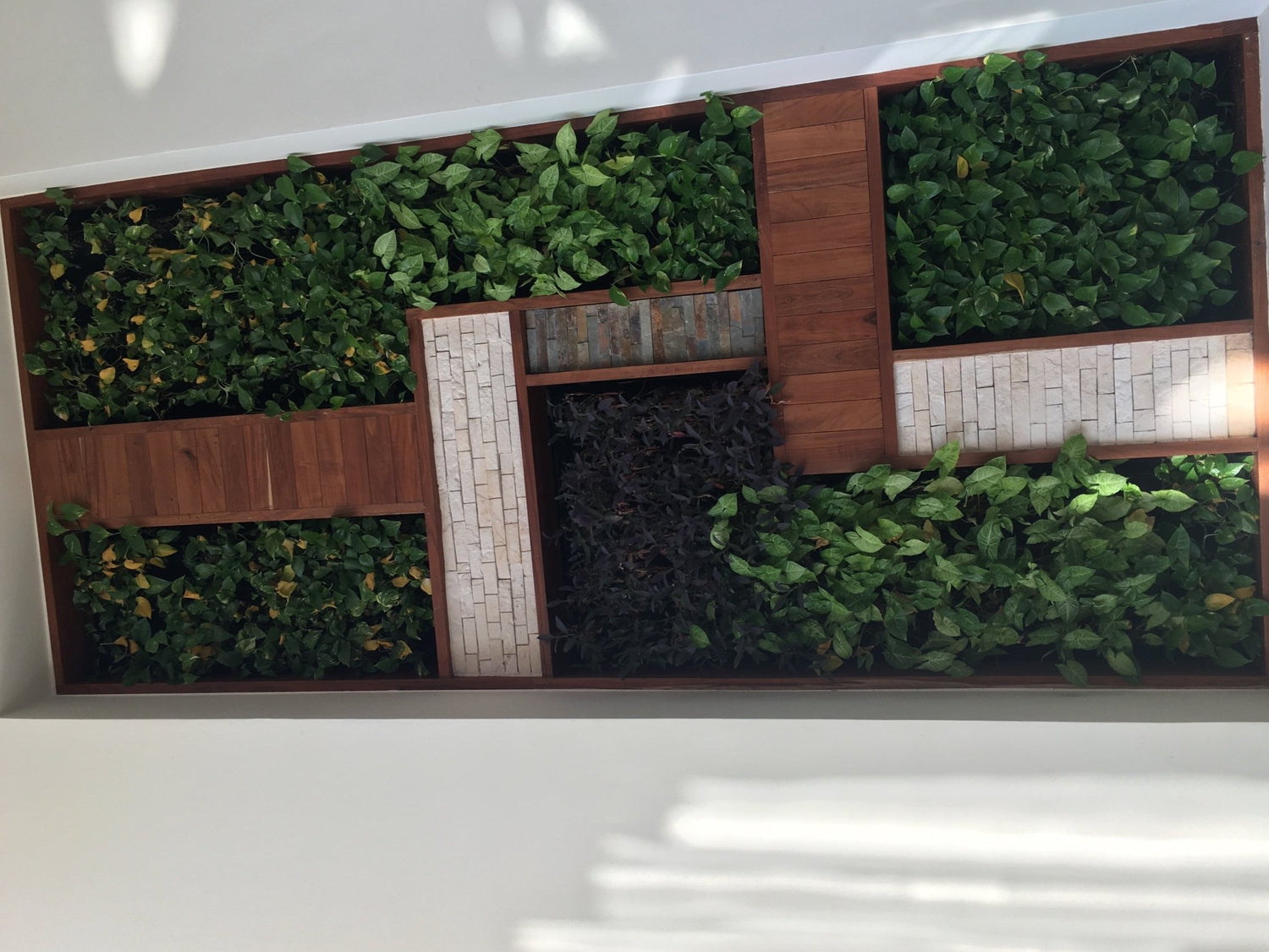 Plant Styling + Design Service - PLANT THIS