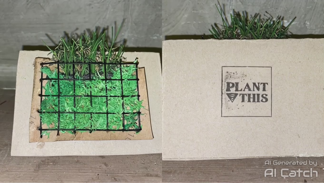 Workshop: Mini Vertical Garden