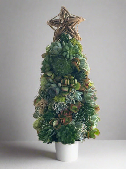 succulent tree christmas Artisan Succulent Tree