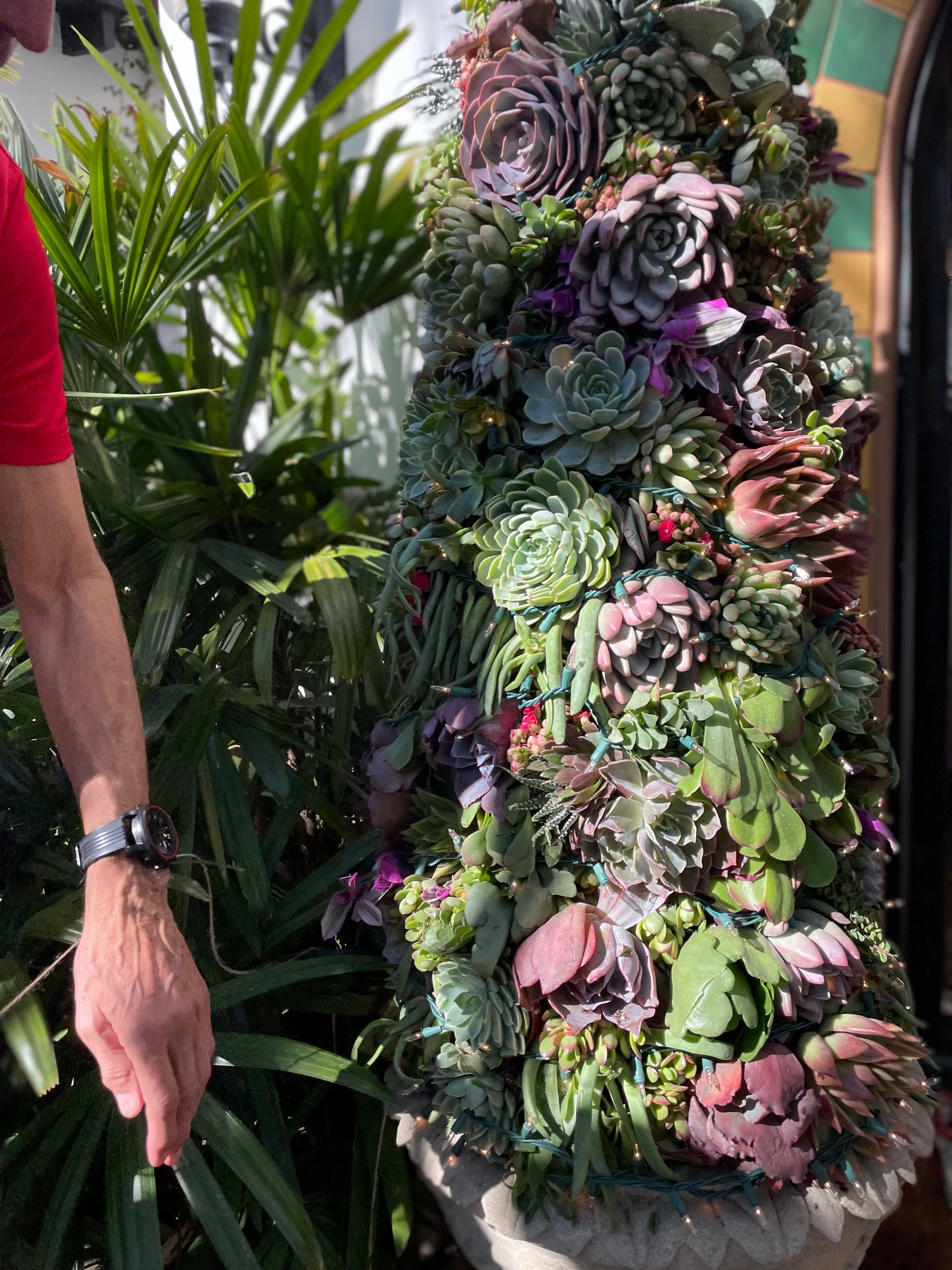 Artisan Succulent Tree - Elevated Elegance for Special Moments